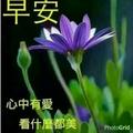 王强200992912头像