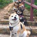 艺霖与榆程头像