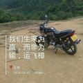 云飞樟头像