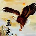 手机用户56213559635头像