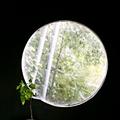 课植窑头像