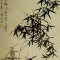 开朗咖啡hai头像