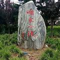 龙鱼快乐头像