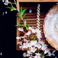 秋天的玫瑰199907250头像