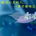 欢乐人生214492494头像