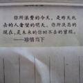 天蓬快跑头像