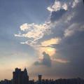z赵222860353头像