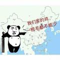 凤城小杨头像