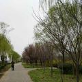 明月照秦2头像