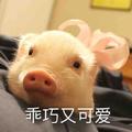 嘿嘿嘿叫你呢头像
