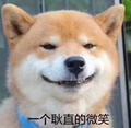 煎饼卷吃完啦头像