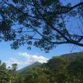 振嘉电子唐俊头像