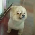 颈仰头像