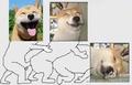 无欲灬无求头像