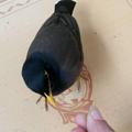 兄弟南城头像