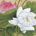 灿烂山丘Nw头像