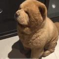丅一詀垨後14头像