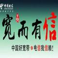 用户62462629500头像