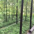 时间煮雨86136头像