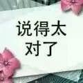 红与黑529头像