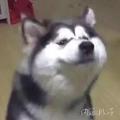 smile假装的很好i79头像