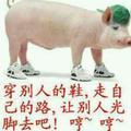 黄上69361头像