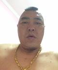 树欲静风不止538头像