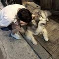 很酷三岁半165头像