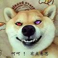 哒哒哒fafafa头像