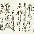 苍穹889头像