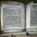 春加两条虫虫头像