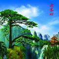 迎客松783头像