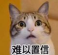 初心无悔1012头像