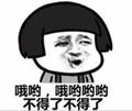 小毅的荒野捉鸡日常头像