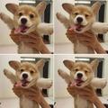 冷风吹头像