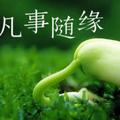 随缘26709头像