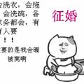 丢了辛福的猪277头像