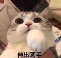 阿雷想买车头像
