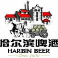 哈啤小麦王贾晓程头像