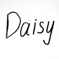 daisy头像