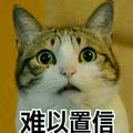 皮皮虾386头像