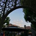 李杨577头像