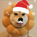 张张张张 · 领克05车主·车龄4年头像