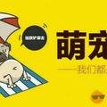 凯凯头像