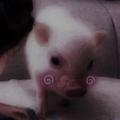 Jason  .头像