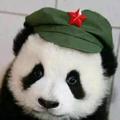 晚风头像