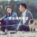 ☞  小鸡 炖蘑菇 头像