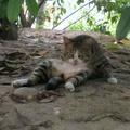 打鸟猎人头像