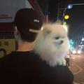 一杯敬明月553头像