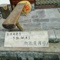 11608881头像